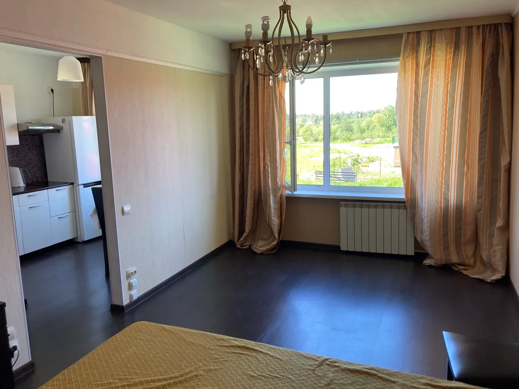 Квартира с видом на Рускеальский Экспресс и ранним заселением