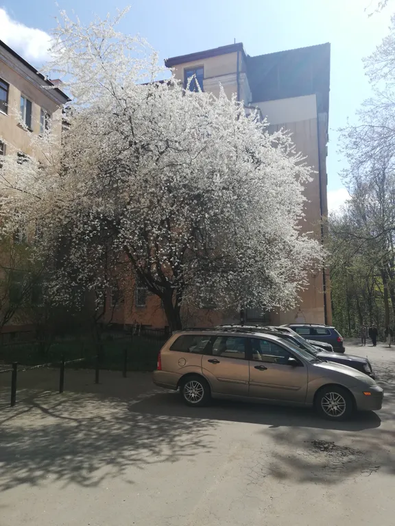 Квартира у центрального парка