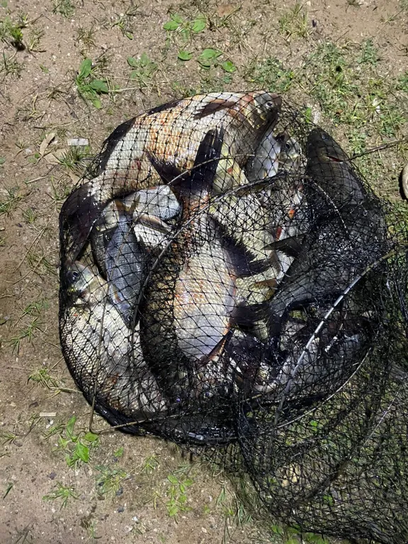 Коттедж Дом с тремя спальнями в турбазе чайка (селигер) — Турбаза Чайка