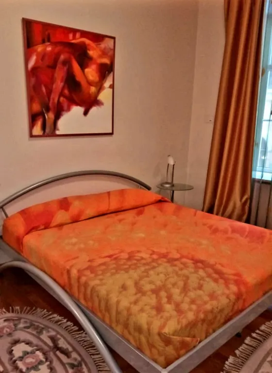 Квартира Просторная квартира у Петропавловской крепости — Санкт-Петербург