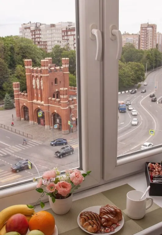 Квартира Двухкомнатная квартира с видом на Королевские ворота — Калининград