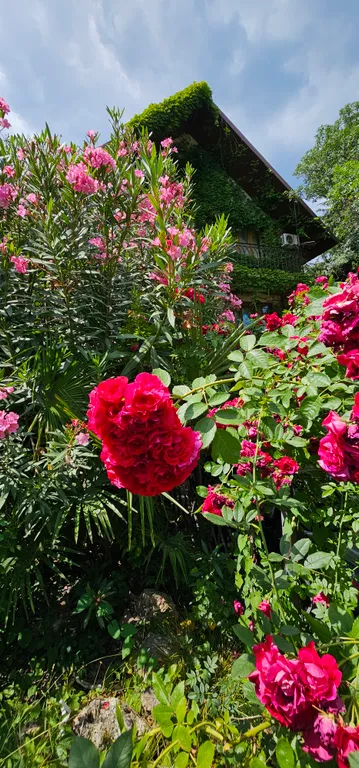 Дом с теплым бассейном у моря в Ялте