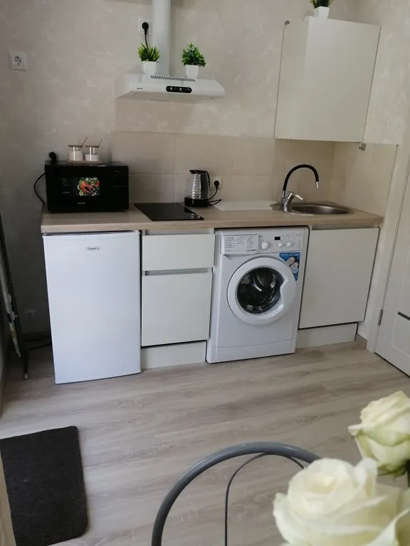 Студия с террасой