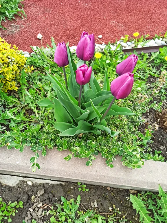 Квартира Квартира Уютный гостевой дом с баней в старом городе — Кашира