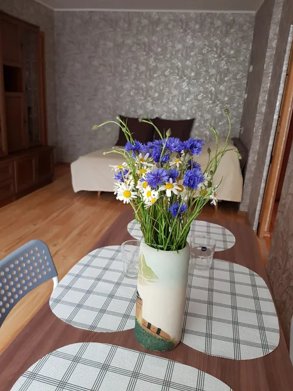 Квартира Уютная квартира в центре — Калининград