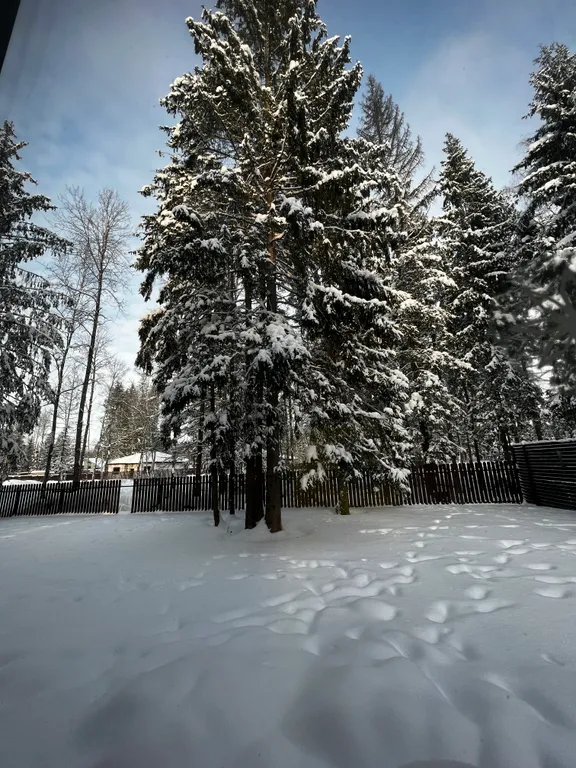 Просторный дом с камином в сосновом лесу