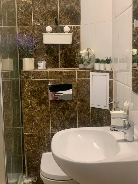 Квартира Уютная квартира в центре города с лесным массивом . — Светлогорск