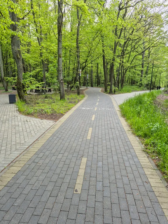 Квартира Новые апартаменты на берегу Балтийского моря в сосновом лесу — Светлогорск