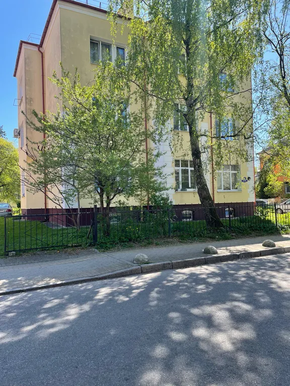 Отдых в районе Амалиенау