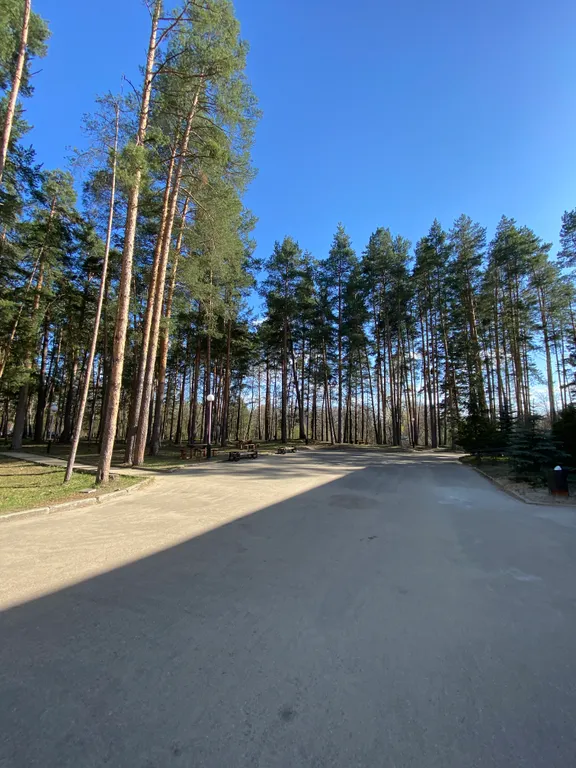 Прекрасная квартира в центре соснового бора