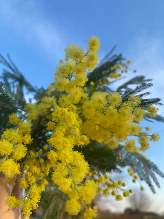 Тихий спокойный отдых у моря