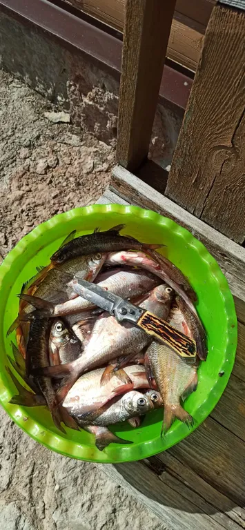 Уютный коттедж на реке