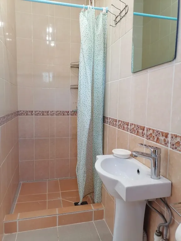 Квартира 1-комнатная Квартира — Луга