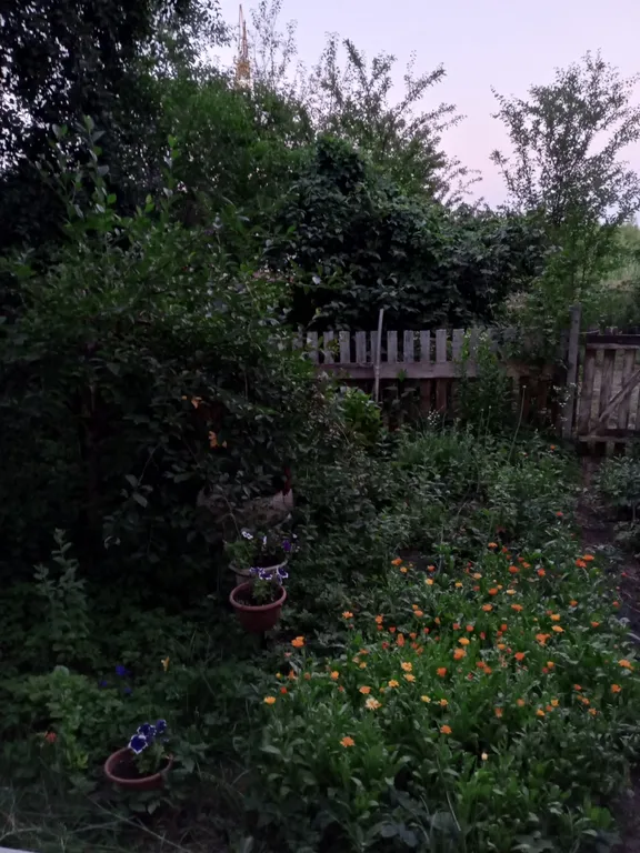 Солнечная комната