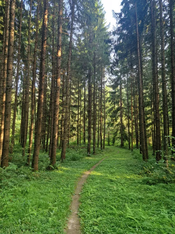 Коттедж Уютный дом с бассейном, с баней, беседка, камин, барбекю — Скоково