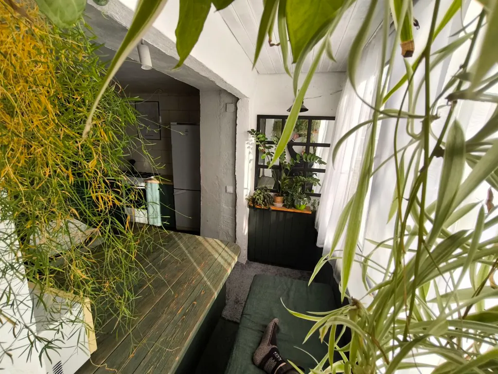 Городские джунгли в самом сердце