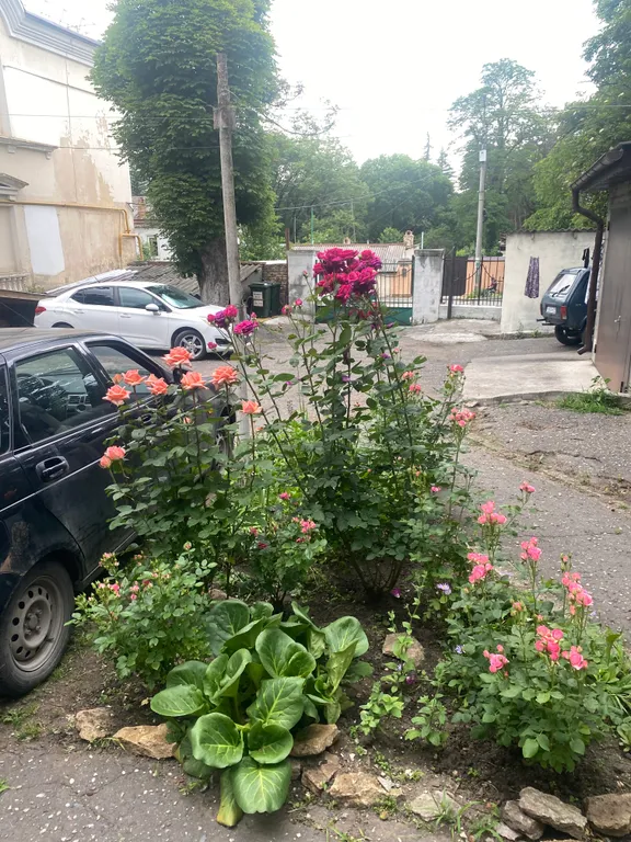 2-комнатная квартира в центре