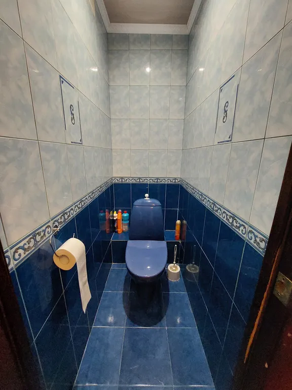 Семейная квартира на Истоке