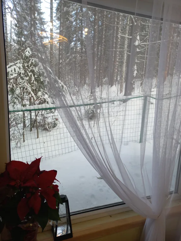 Домик в лесу