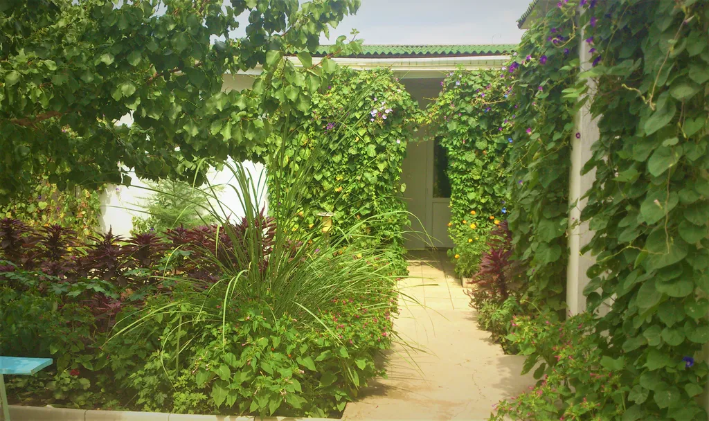 Двухместный номер стандарт с террасой