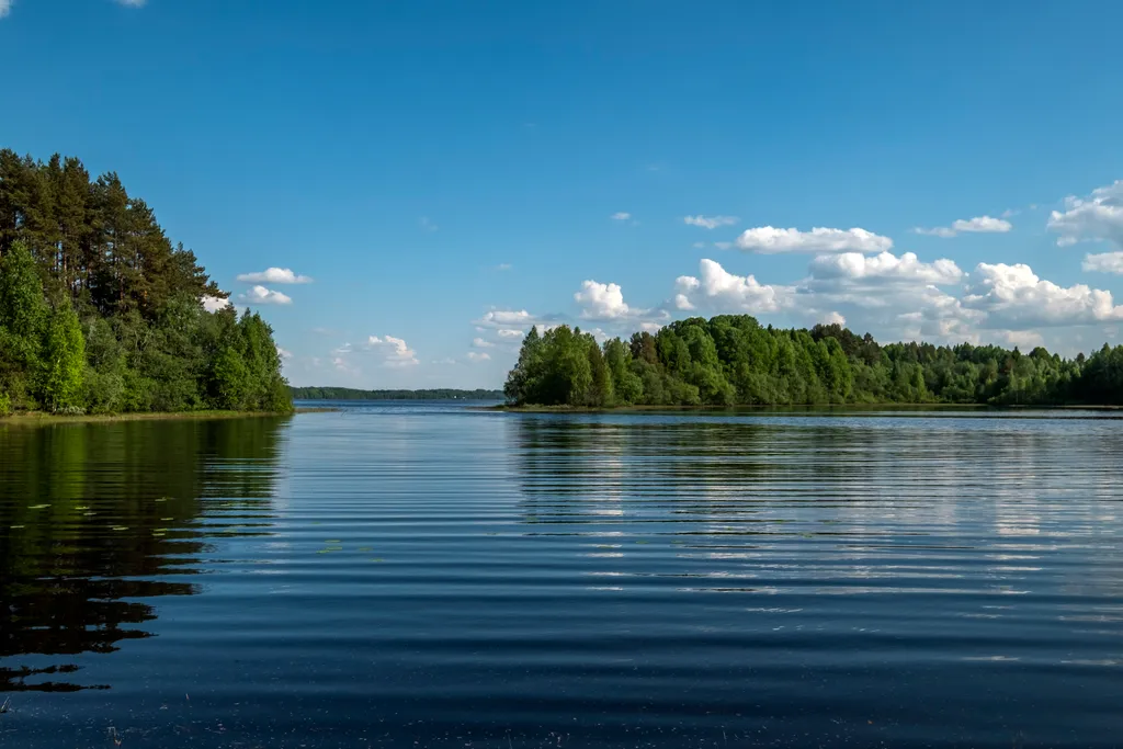 Домик на двоих с панорамным окном №2