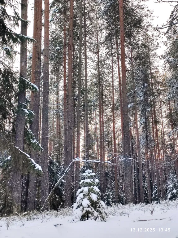 Карельский хутор A-frame