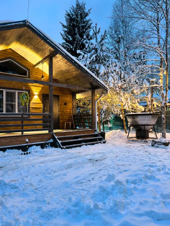 Уютный домик у леса с чаном