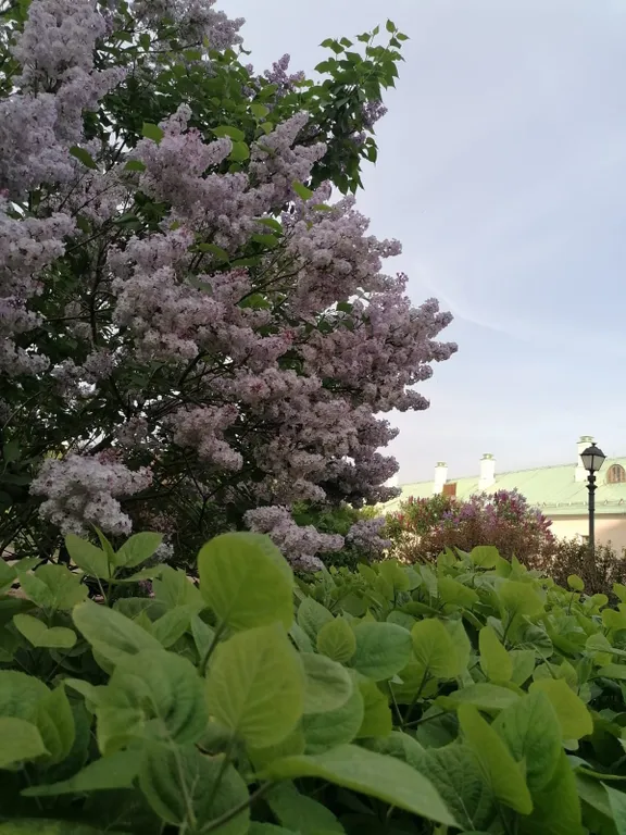 Квартира рядом с морем и пляжами