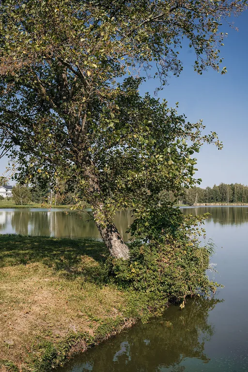 Усадьба Чистый ручей в 25 минутах от Минска