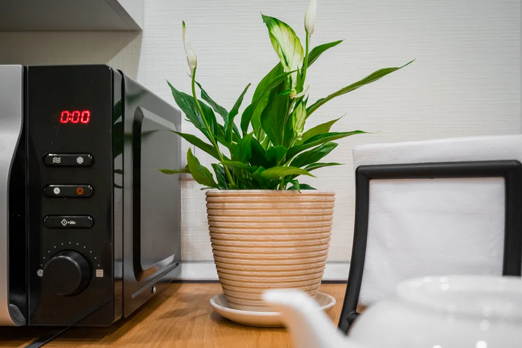 Квартира Квартира Compact stylish flat — Санкт-Петербург