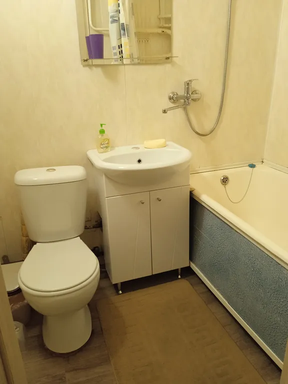 Апартаменты от Елены на Театральной