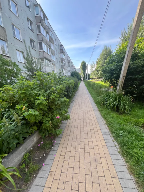 Квартира Просторная квартира недалеко от моря — Зеленоградск