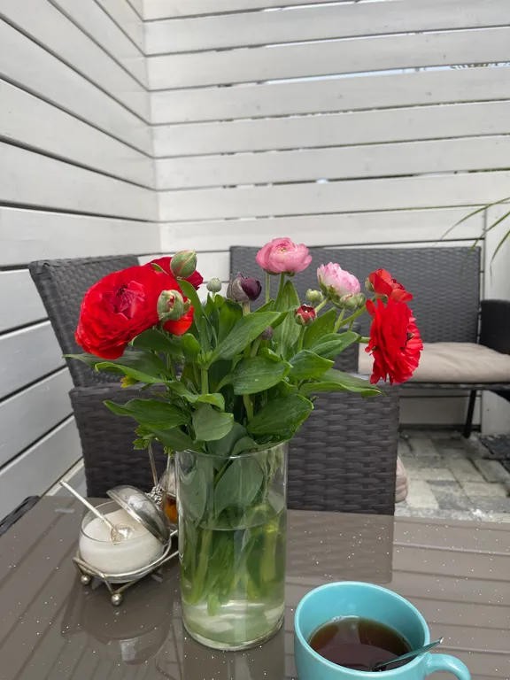 Квартира Квартира Студия с собственной террасой в олимпийском парке — Адлер