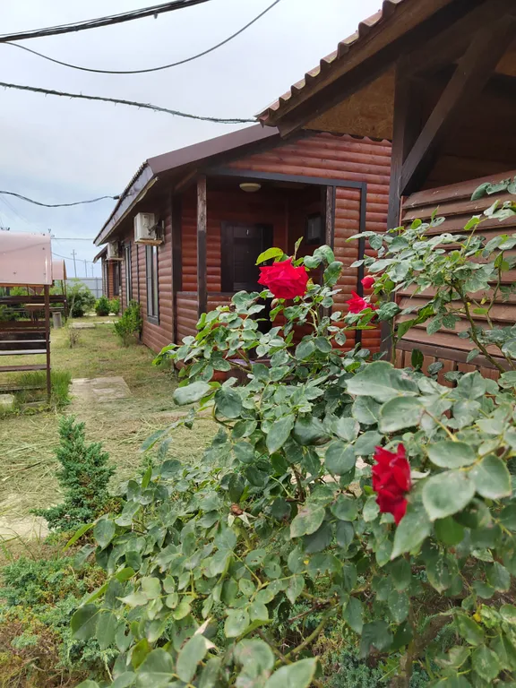 Уютный домик на берегу у моря