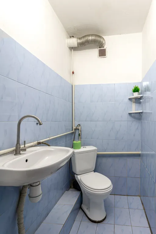 Большой дом для большой компании