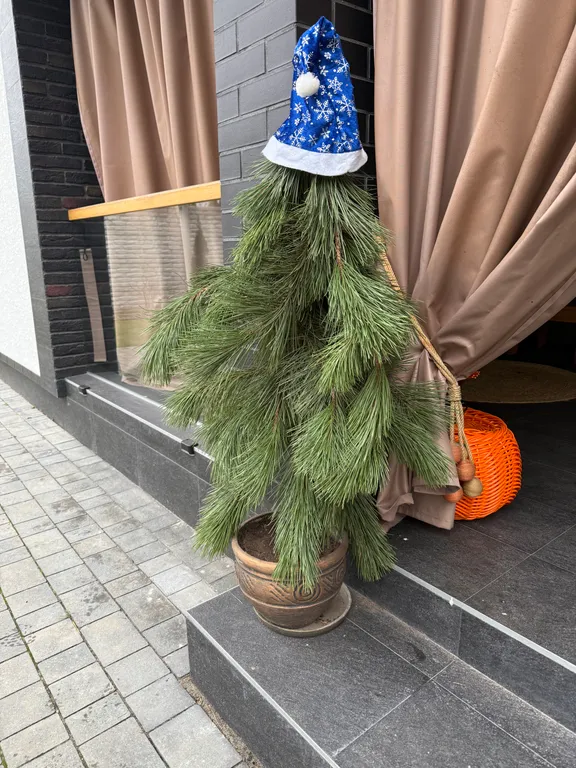 Коттедж белая береза