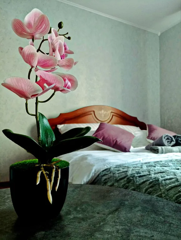 Эконом-студия в новом микрорайоне