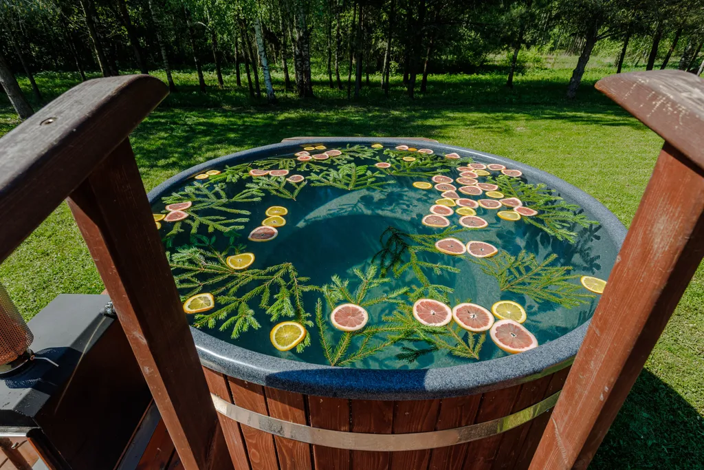 Дом с русской баней и горячей купелью