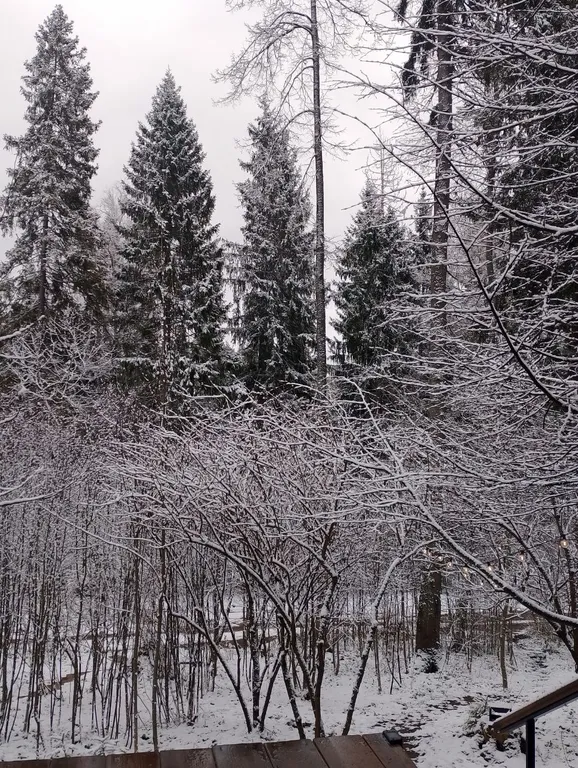 Дом с ванной у панорамных окон и высокой террасой в лесу