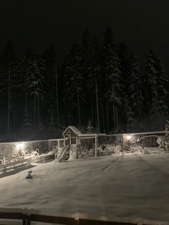 Деревянный 2-этажный коттедж у леса