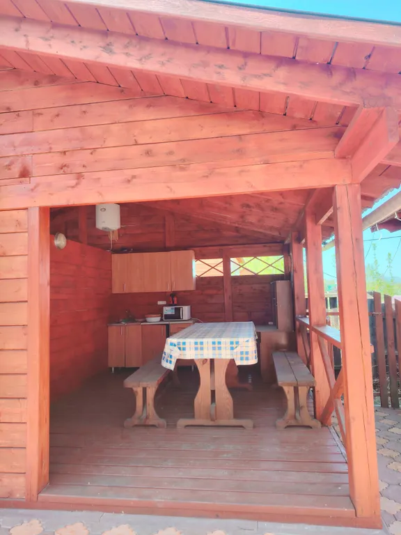 Летний номер с видом на березовый лес