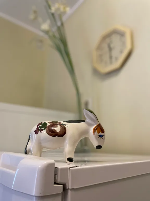 Уютная трехкомнатная квартира в центре города