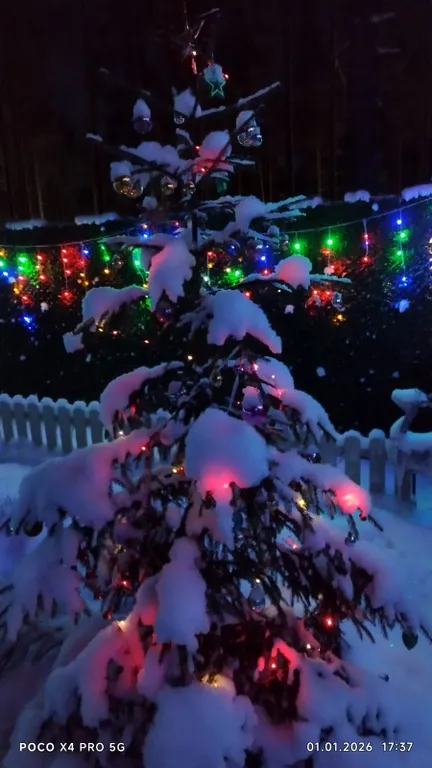 Уютный новый дом в сосновом лесу на берегу Финского залива