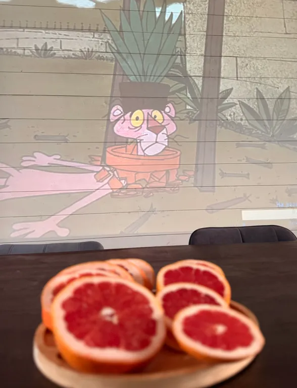 Просторный дом с видом на настоящий лес