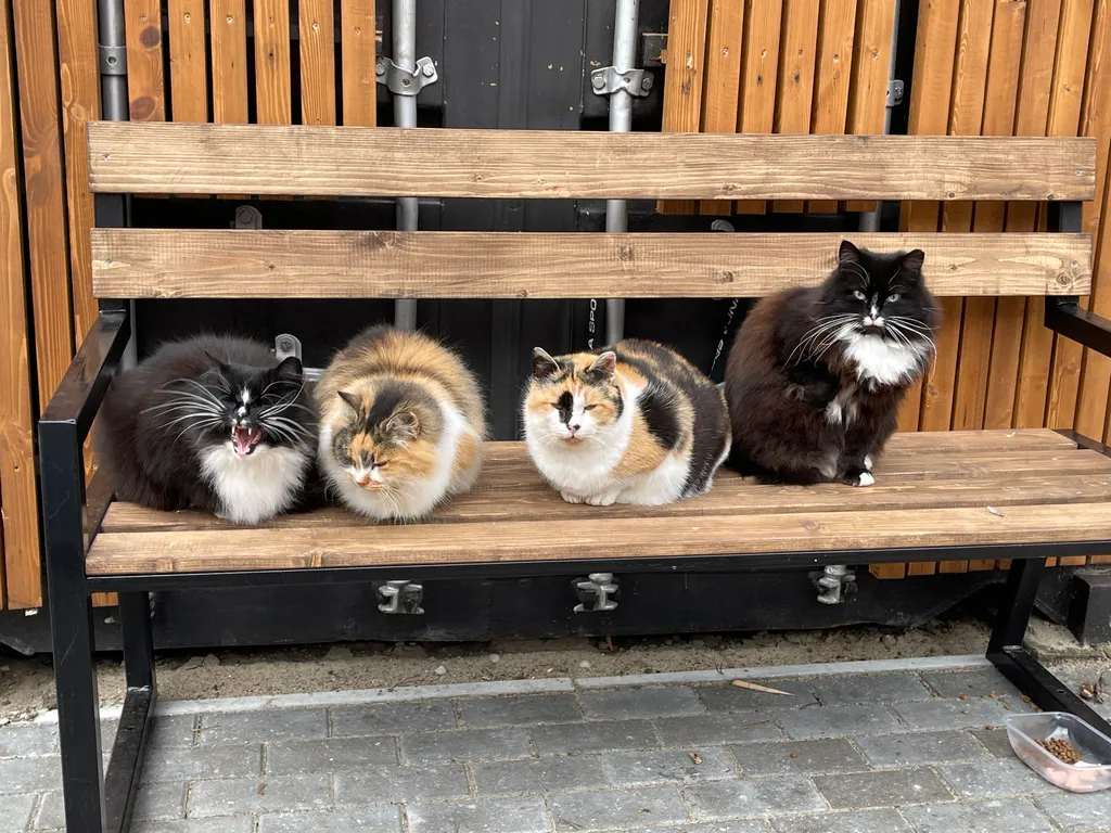 Уют и комфорт в трёх шагах от моря