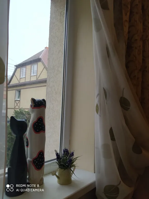 Прусский Кот  (в историческом районе Ratshof на границе с Amalienau)