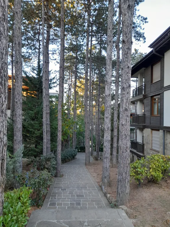 Трехкомнатный люкс в соснах у моря в Санта Марина