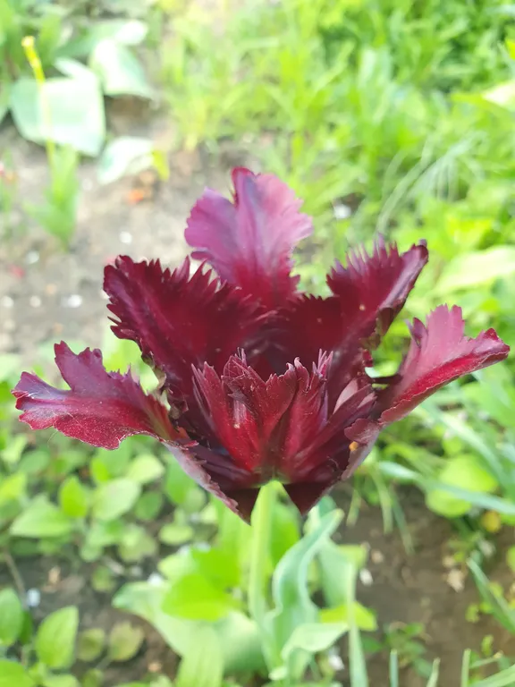 Коттедж FLIGELMUZ (Загородный Музыкальный Флигель). — Северская