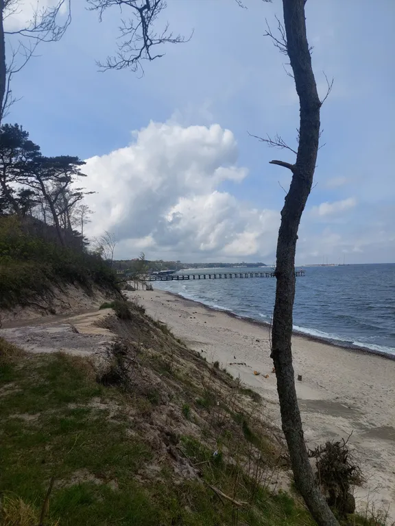 Квартира Квартира Уютное жилье в 5 минутах от моря — Пионерский