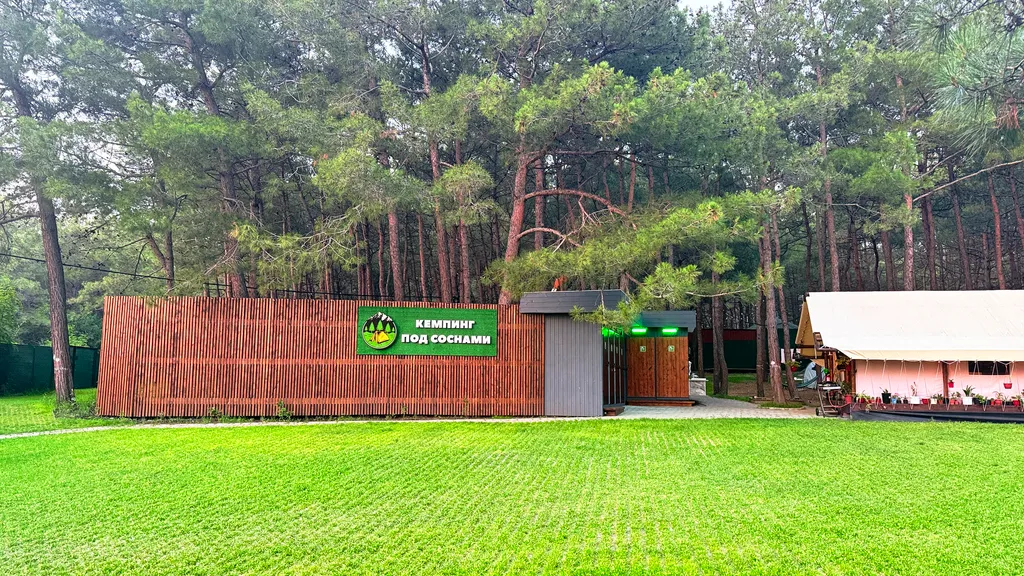 Под соснами